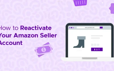The Seller’s Survival Guide: Reactivating Your Deactivated Amazon Account
